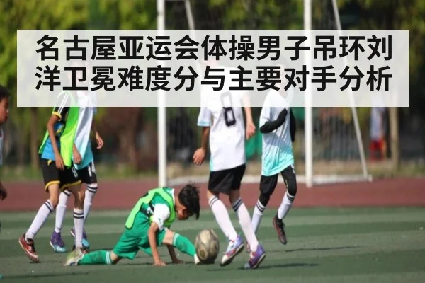 名古屋亚运会体操男子吊环刘洋卫冕难度分与主要对手分析